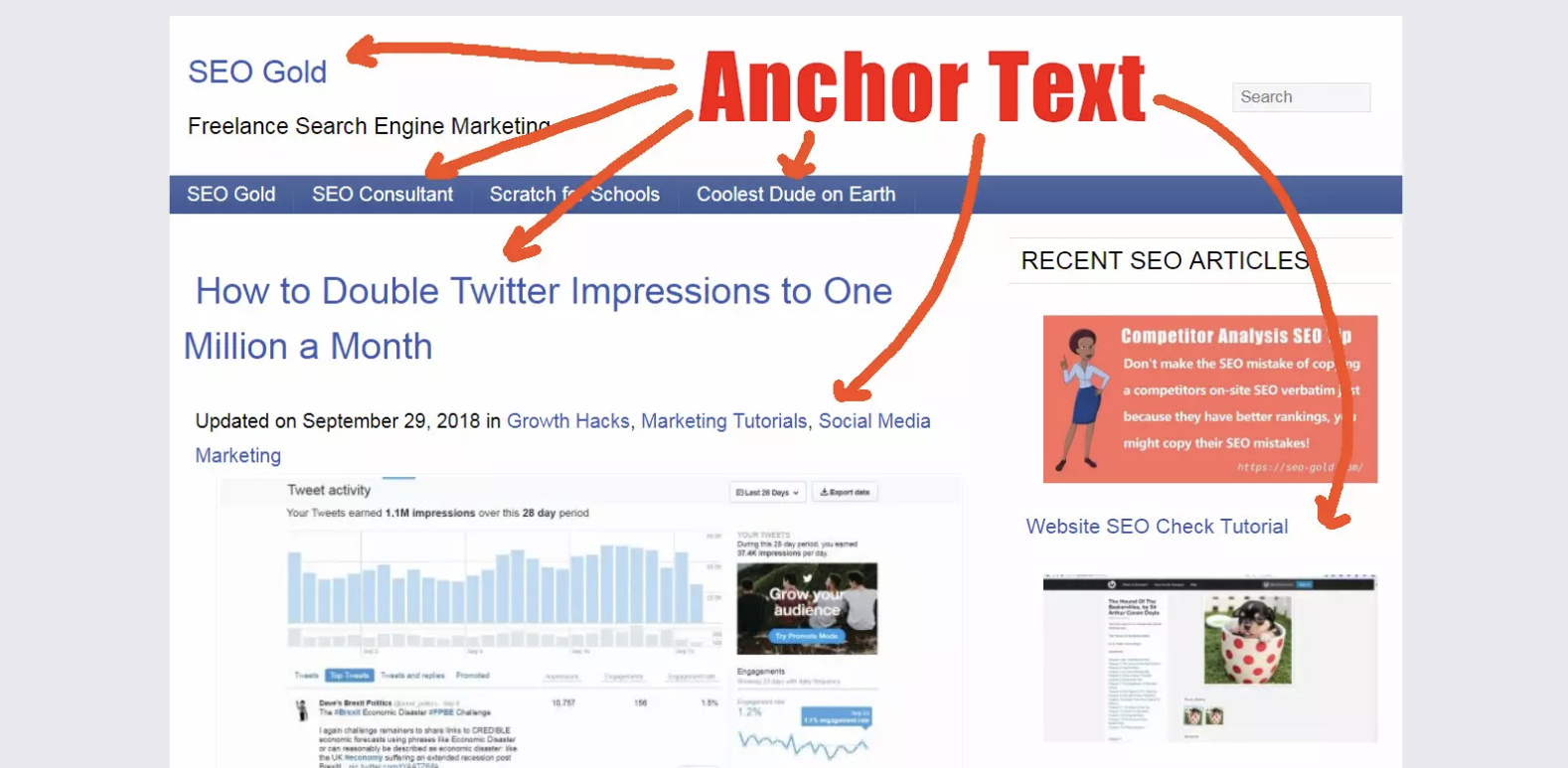 A screenshot of an SEO blog page with multiple types of anchor text highlighted in red arrows, including navigation links and in-text category tags like “Marketing Tutorials” and “Social Media.”