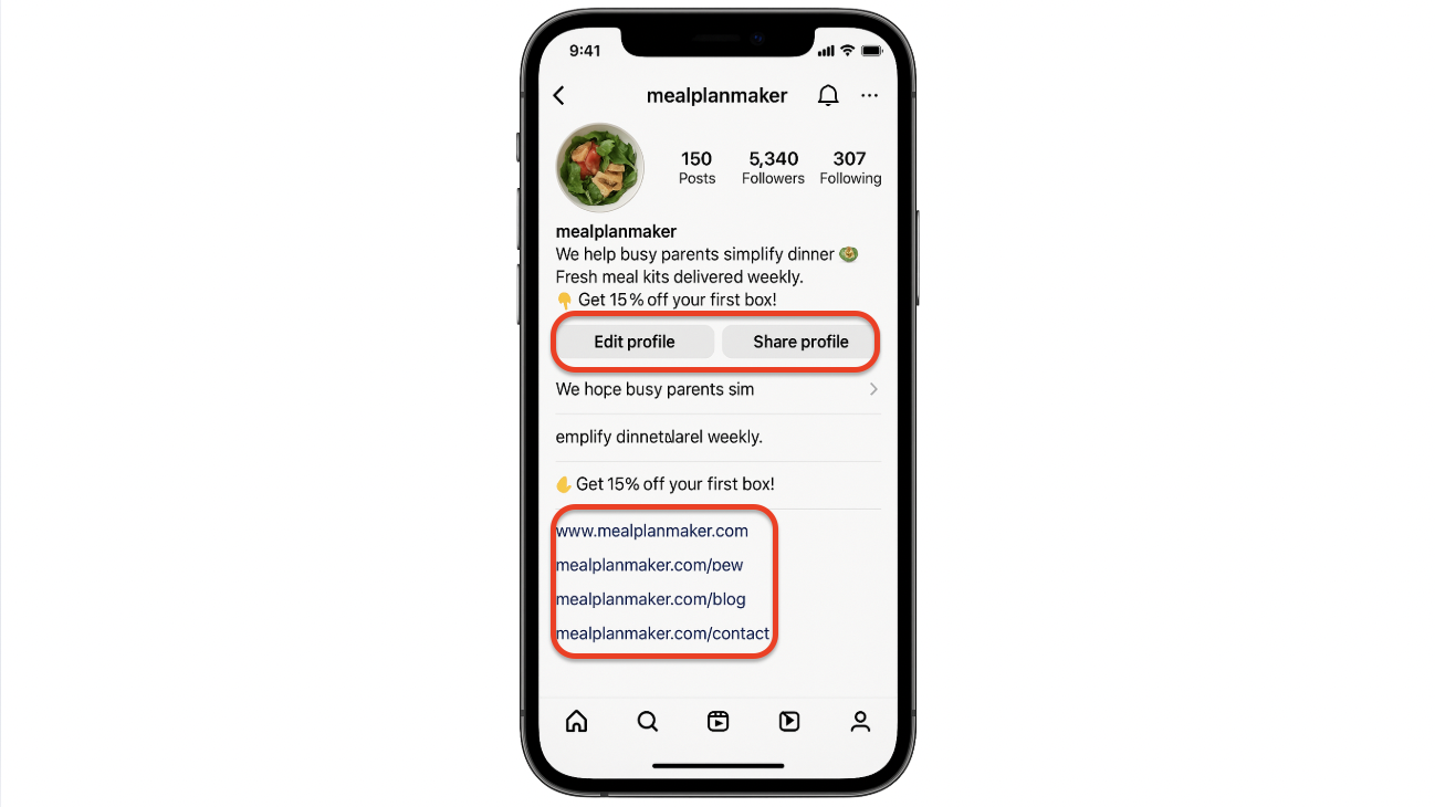 Instagram profile example showing bio with discount offer and multiple website links