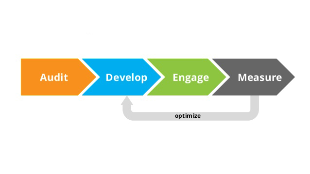 Audit > Develop > Engage > Measure