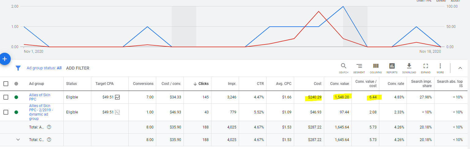 Google Ads campaign dashboard showing performance metrics including clicks, conversions, CTR, CPC, and conversion values for Allies of Skin PPC campaigns.