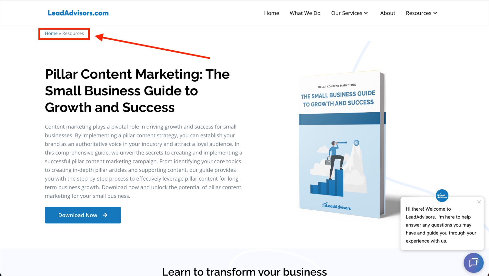 A LeadAdvisors landing page featuring a "Pillar Content Marketing" guide for small businesses with a prominent "Download Now" button and breadcrumb navigation.