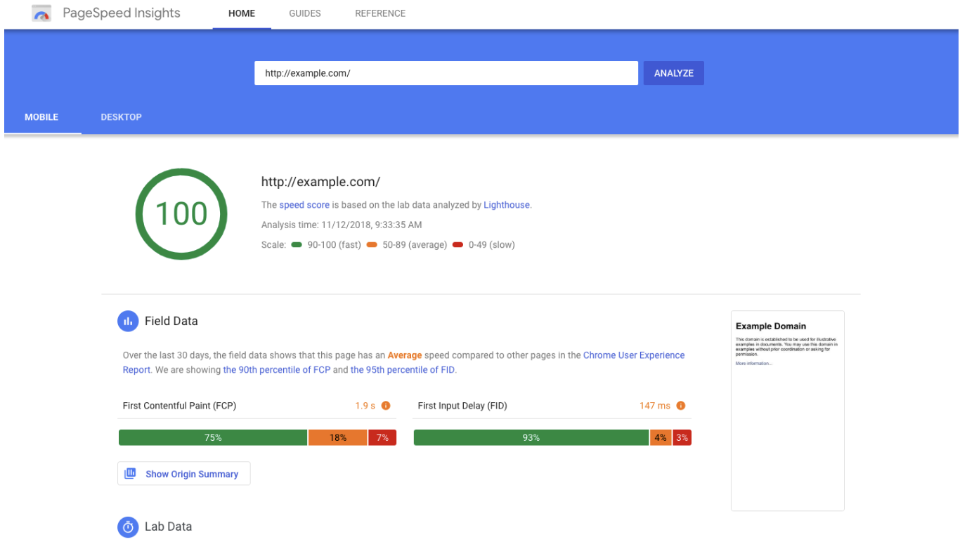 Screenshot of Google PageSpeed Insights showing a perfect score of 100 for example.com on mobile, highlighting strong technical SEO. Includes field data, lab data, a sidebar with page details, analysis date, and visible performance metrics.