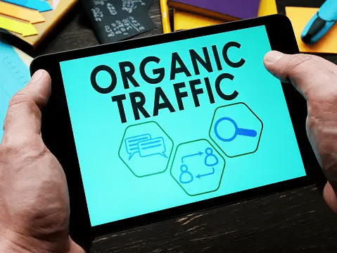 SEO KPI: Organic Traffic