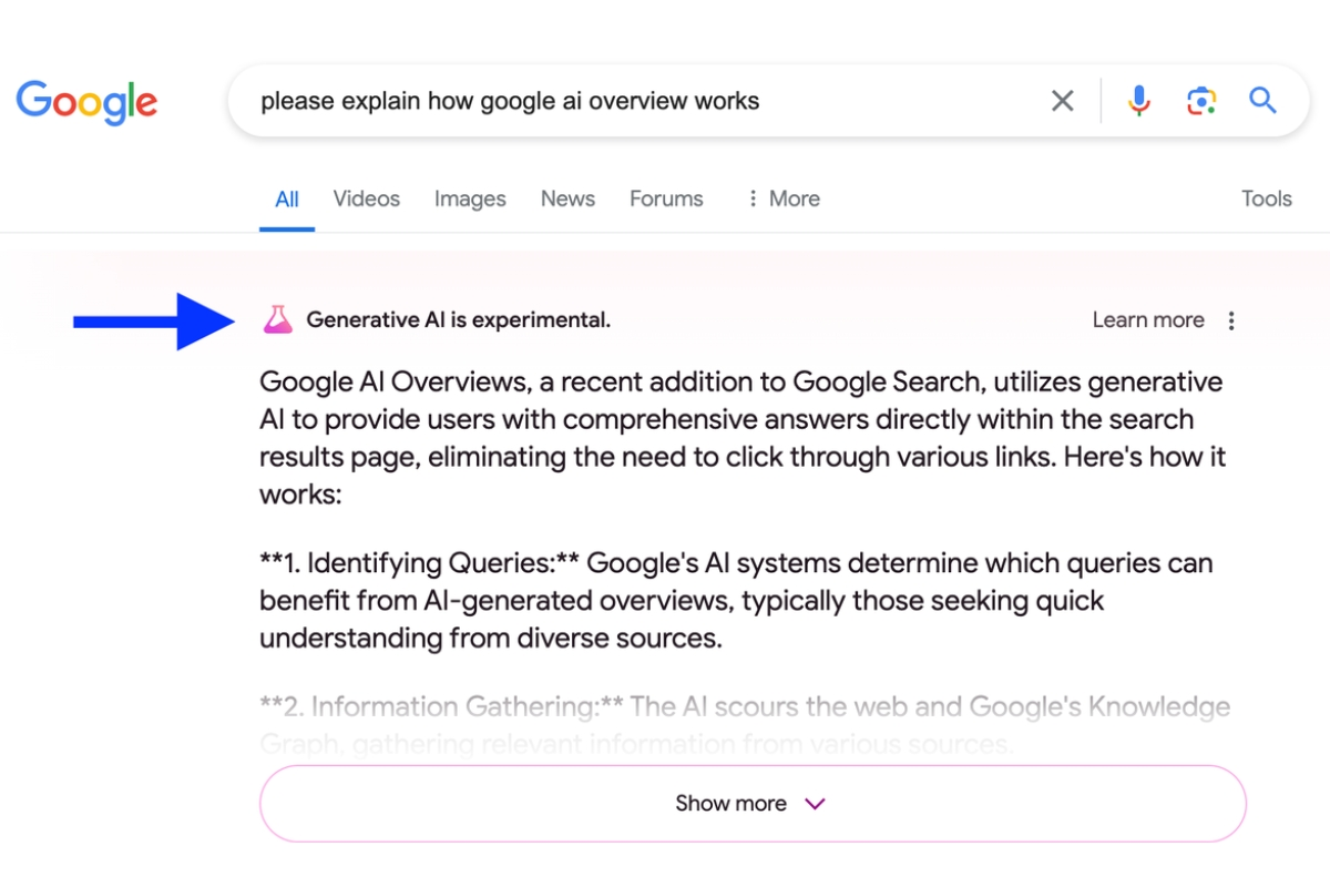 A screenshot showing a Google AI Overview with a prominent blue arrow pointing to the "Generative AI is experimental" warning.