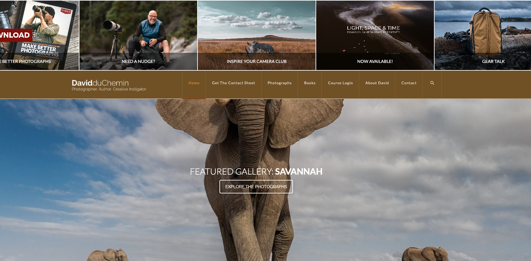 Screenshot of David duChemin’s blog featuring storytelling-focused photography, including an elephant image from the Savannah gallery.