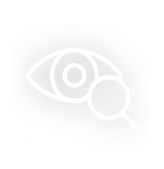 Line-style icon representing transparency, featuring an open eye and document — a core value of LeadAdvisors promoting openness and accountability.