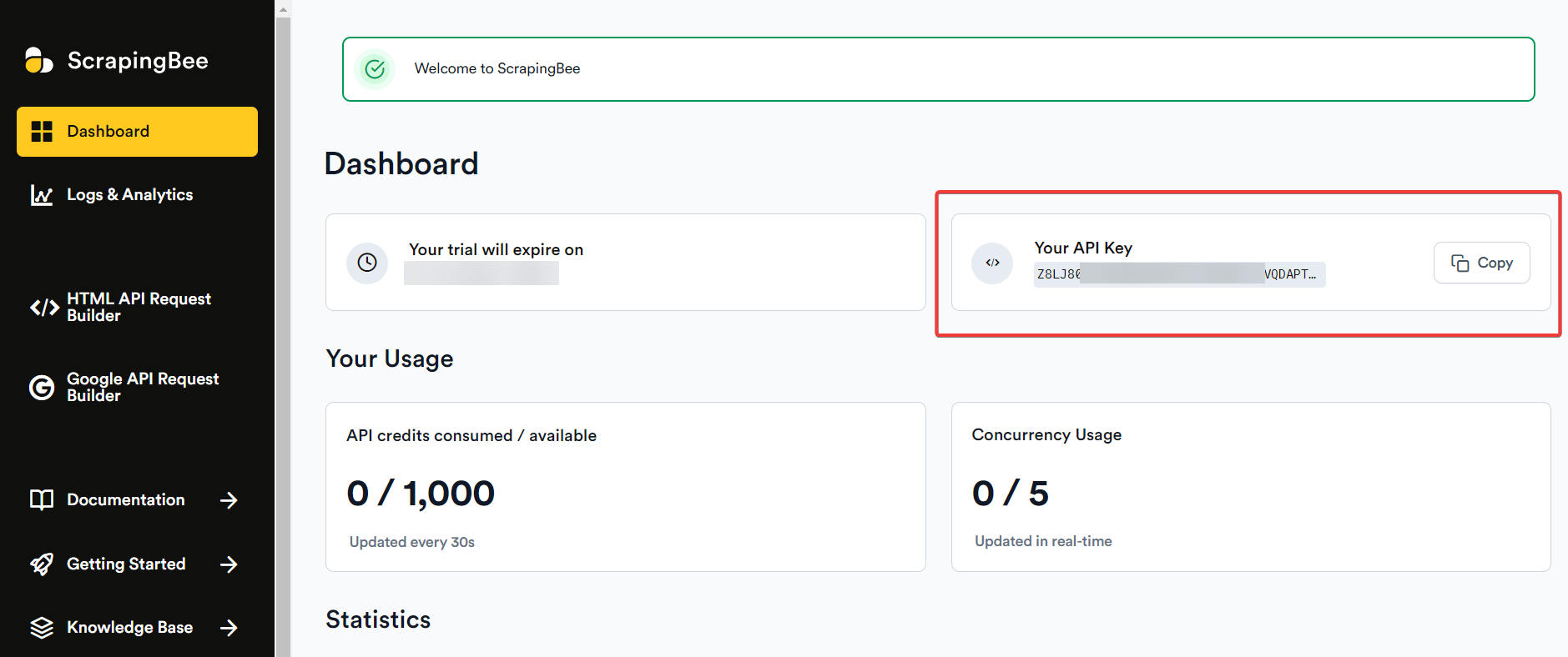 ScrapingBee dashboard showing API key, usage stats, and concurrency info