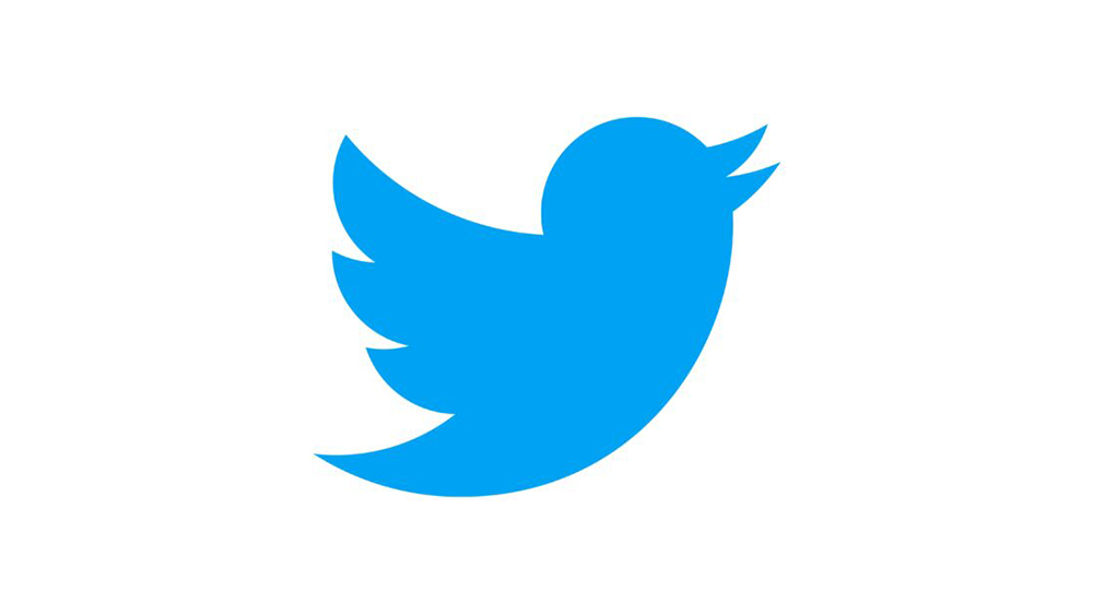 A blue bird silhouette, representing the Twitter logo and iconic among blue logos, is shown on a white background. The bird is facing right with its beak open and wings raised.