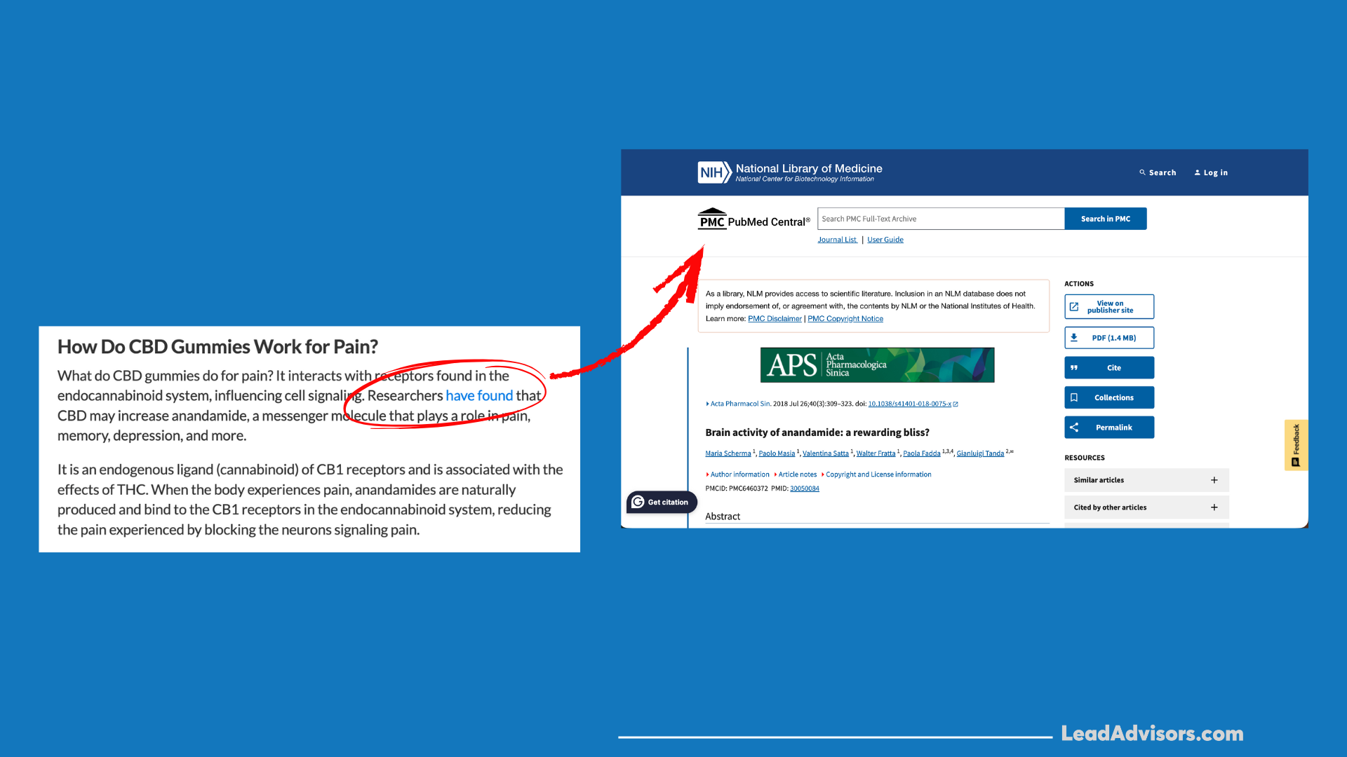 Graphic linking CBD pain-relief information to supporting PubMed research, highlighting scientific references.
