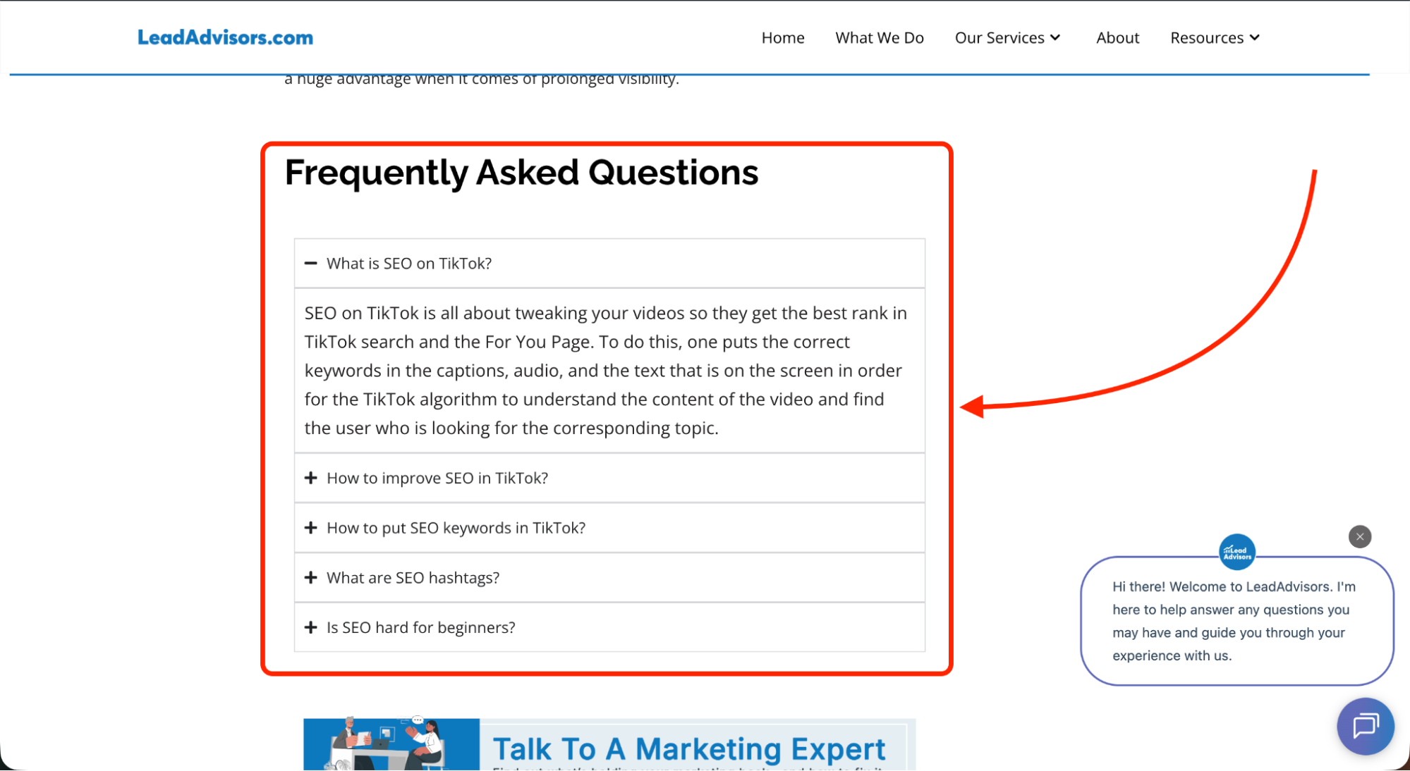 LeadAdvisors FAQ section displaying expandable questions about TikTok SEO, keyword placement, and hashtag optimization for users seeking guidance.