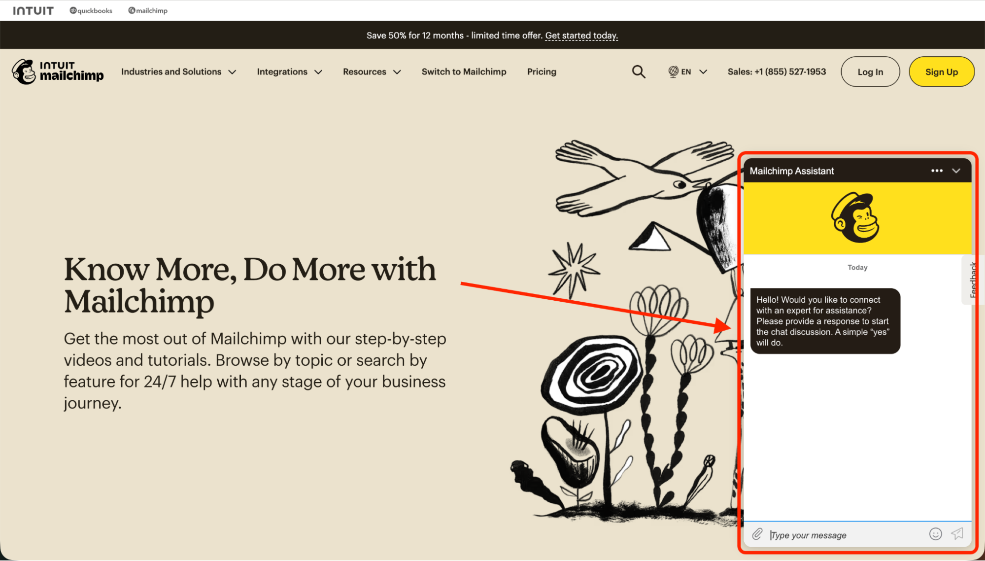Mailchimp homepage showcasing the Mailchimp Assistant chat window prompting users to connect with support for help or questions.