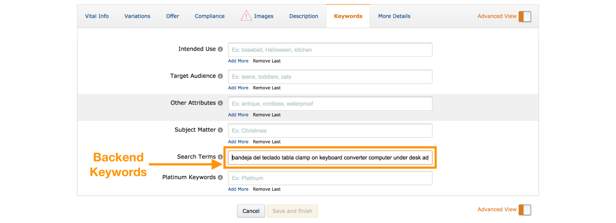 Amazon Seller Central backend keyword entry field showing example search terms in the Search Terms section.