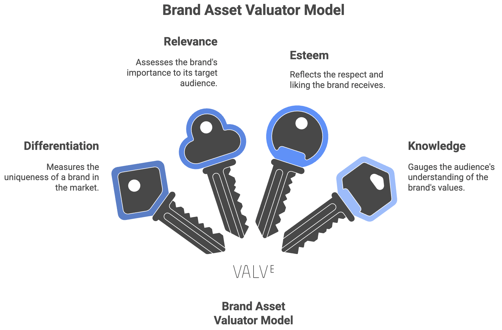 A diagram illustrating the Brand Asset Valuator Model using five key-shaped icons representing differentiation, relevance, esteem, and knowledge as factors that drive brand equity.